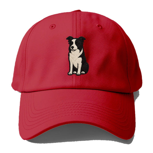 border-collie-intense-focus Hat
